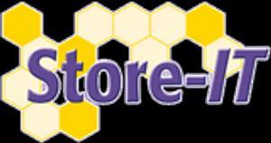 Store IT Logo.jpg